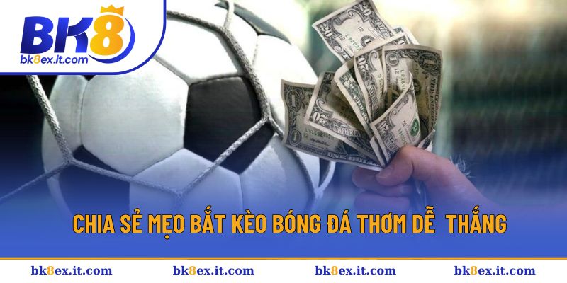 Bí kíp chơi kèo bóng đá thơm thành công