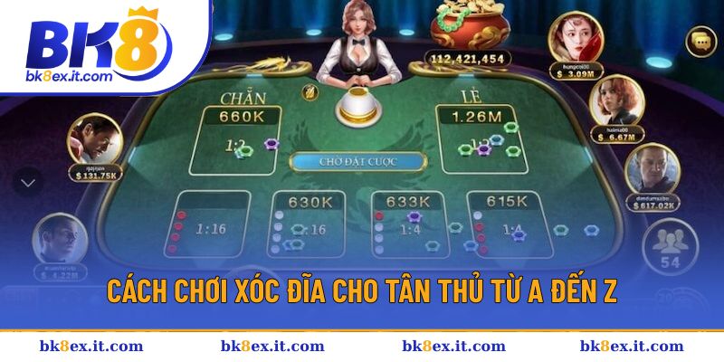 Cách chơi xóc đĩa cho tân thủ từ A đến Z