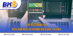 Cáp Kèo Bóng Đá