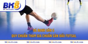 Đá Banh Sân 5