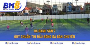 Đá banh sân 7