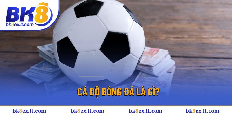 Khám phá định nghĩa cá độ bóng đá