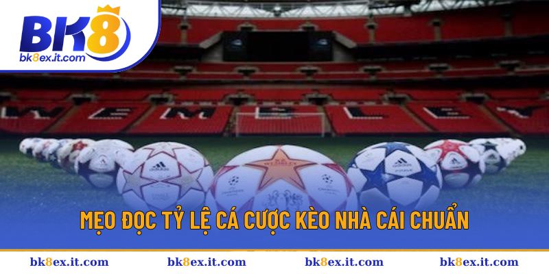 Mẹo đọc tỷ lệ cá cược kèo nhà cái chuẩn