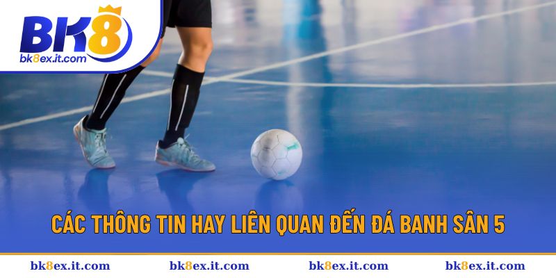 Các thông tin hay liên quan đến đá banh sân 5