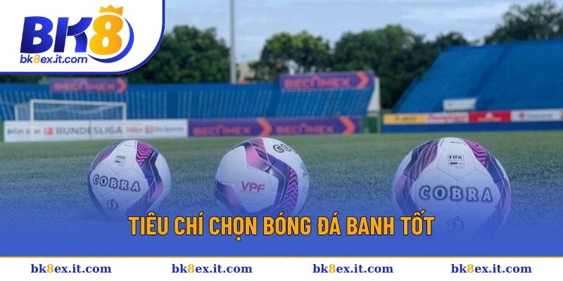 Tiêu chí chọn bóng đá banh tốt Tiêu chí chọn bóng đá banh tốt