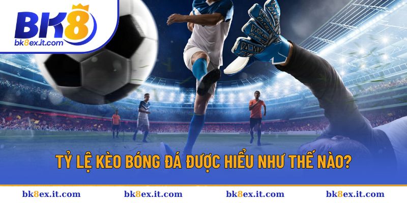 Tổng quan về tỷ lệ kèo bóng đá BK8