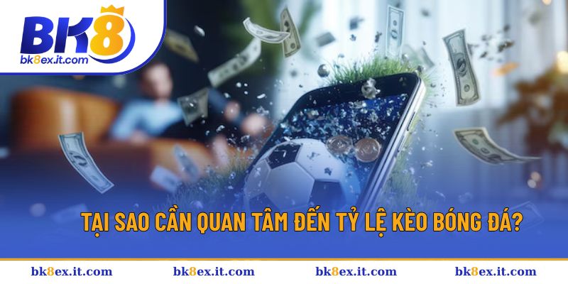 Quan tâm đến tỷ lệ kèo để chiến thắng